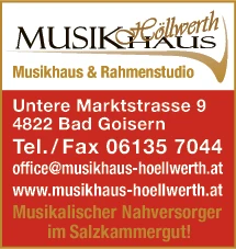 Print-Anzeige von: Höllwerth, Michael, Musikinstrumente u -zubehör
