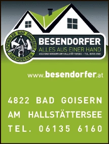Print-Anzeige von: Besendorfer Herwig GmbH, Dachdeckerei u Spenglerei