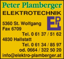 Print-Anzeige von: Plamberger, Peter jun., Elektrounternehmen