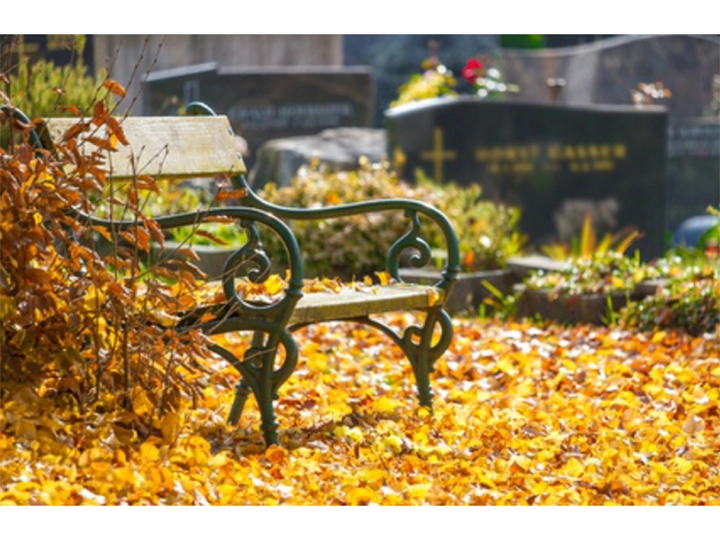 Galerie-Bild 1: Bestattung Lesiak aus Sankt Gilgen von Lesiak, Konrad