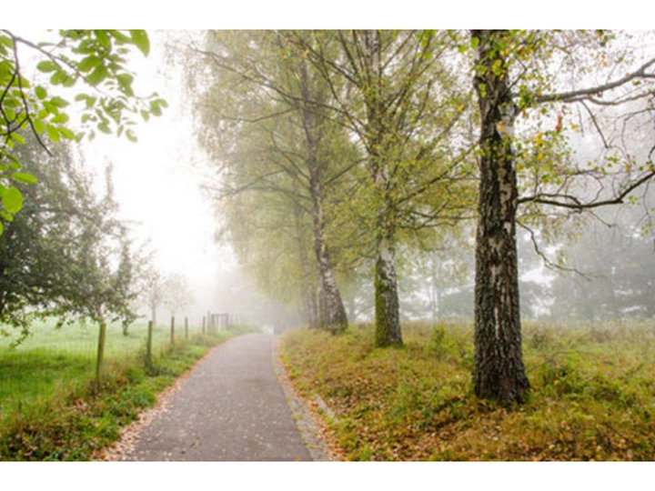Galerie-Bild 2: Bestattung Lesiak aus Sankt Gilgen von Lesiak, Konrad