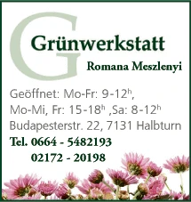 Print-Anzeige von: Meszlenyi, Romana, Blumen