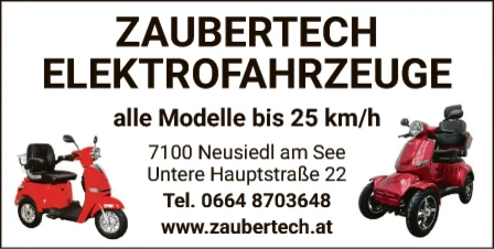 Print-Anzeige von: Zaubertech Elektrofahrzeuge