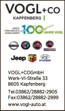 Print-Anzeige von: Vogl & Co. AutoverkaufsgesmbH, Autohandel