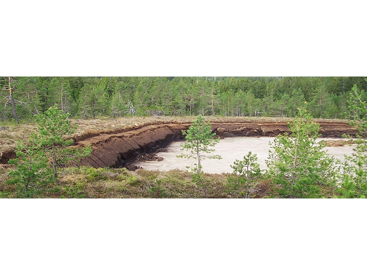 Galerie-Bild 2: Karl Leitnger aus Schwanberg von Karl Leitnger 