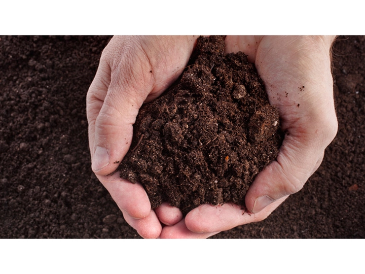 Galerie-Bild 4: Karl Leitnger aus Schwanberg von Karl Leitnger 