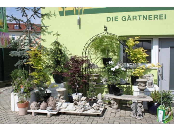 Galerie-Bild 1: Haring aus Groß Sankt Florian von Haring, Bernhard, Baumschulen