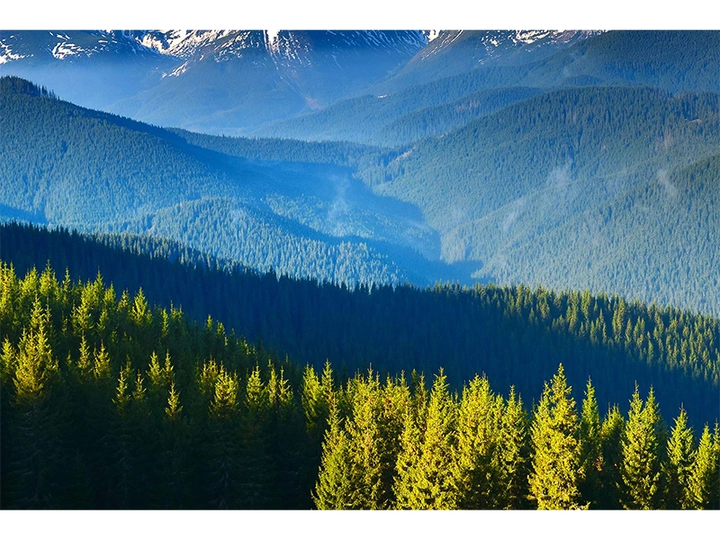 Galerie-Bild 1: Mag. Thomas Taubinger aus Eferding von Taubinger, Thomas, Mag., Steuerberatung