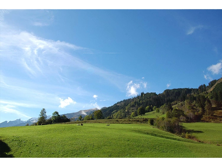 Galerie-Bild 3: Mag. Thomas Taubinger aus Eferding von Taubinger, Thomas, Mag., Steuerberatung