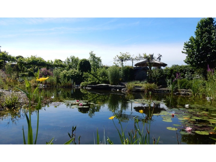 Galerie-Bild 1: Garten Dobretzberger aus Hartkirchen von Garten Dobretzberger, Garten