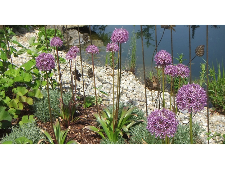 Galerie-Bild 4: Garten Dobretzberger aus Hartkirchen von Garten Dobretzberger, Garten