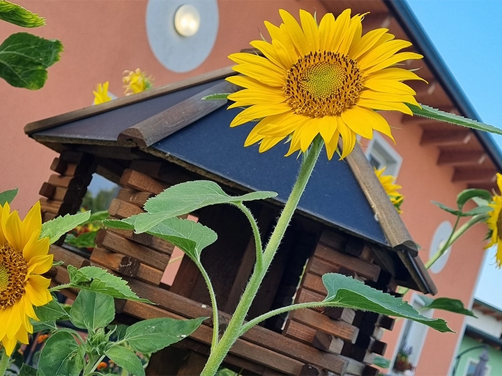 Galerie-Bild 1: Burda Immobilien und Verwaltungs von Eco Haus - Pflegeheim, Pflegeheim