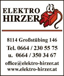 Print-Anzeige von: Hirzer, Manuela, Elektro