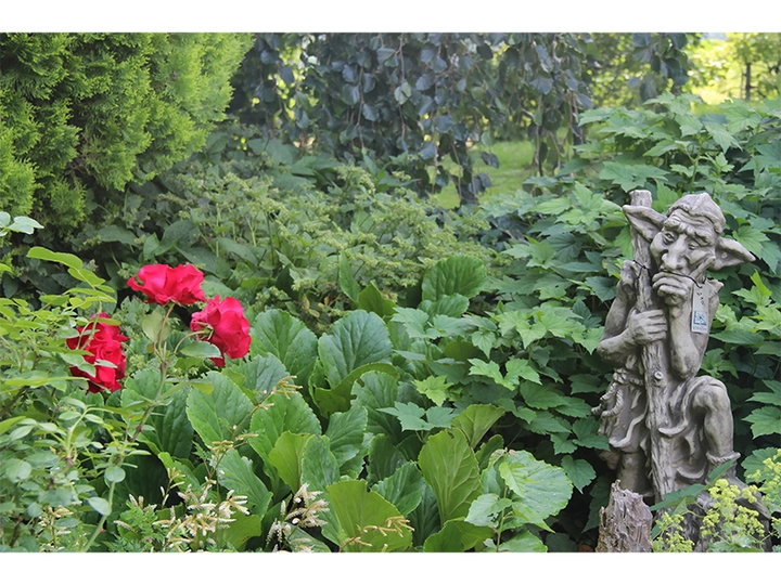 Galerie-Bild 2: Baumschule Haritsch aus Gratwein von Baumschule Haritsch