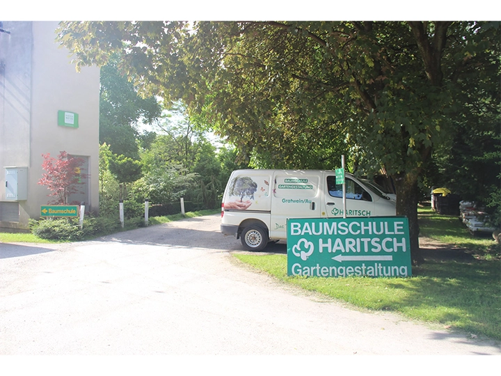Galerie-Bild 4: Baumschule Haritsch aus Gratwein von Baumschule Haritsch