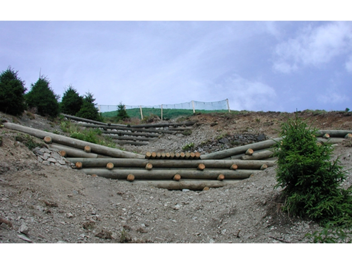 Galerie-Bild 3: Mohik-Wertholz GmbH aus Deutschlandsberg von Mohik Wertholz GmbH, Holzmarkt