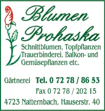 Print-Anzeige von: Prohaska, Hermann, Blumenhandel