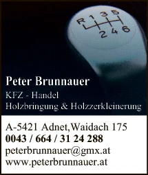 Print-Anzeige von: Brunnauer, Peter, Fahrzeughandel