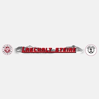 Bild von: Stein Laschalt KG, Steinmetzmeister 