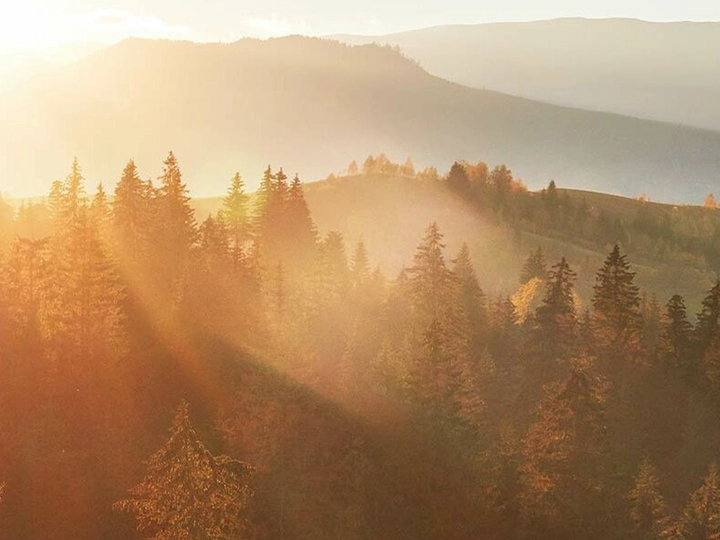 Galerie-Bild 4: Kitzbüheler Bestattung WV GmbH aus Kitzbühel von Kitzbüheler Bestattung WV GmbH