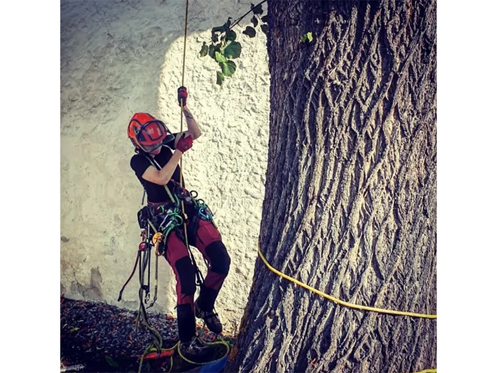 Galerie-Bild 2: Baumpflege Prem aus Sankt Johann in Tirol von Baumpflege Prem