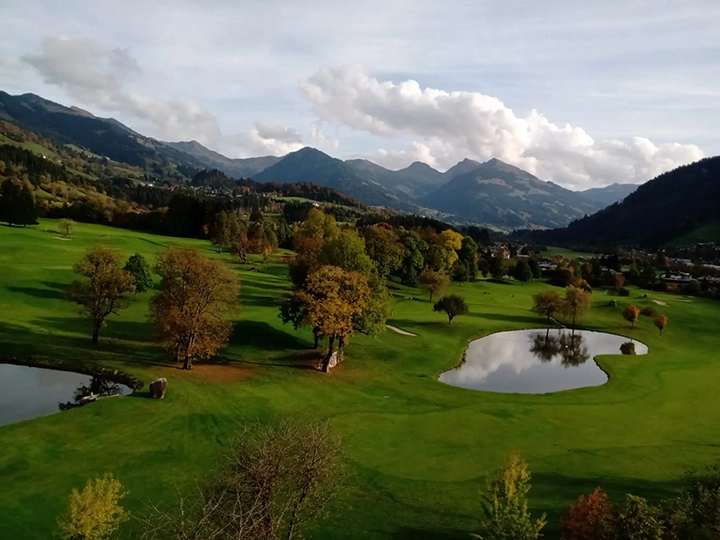Galerie-Bild 4: Baumpflege Prem aus Sankt Johann in Tirol von Baumpflege Prem