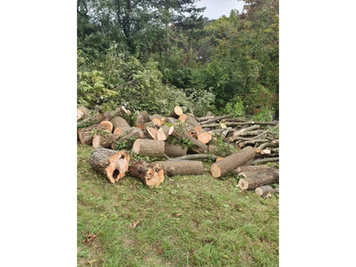 Galerie-Bild 4: Haus & Gartenservice aus Kritzendorf von Haus & Gartenservice Klingelbrunner Dominik