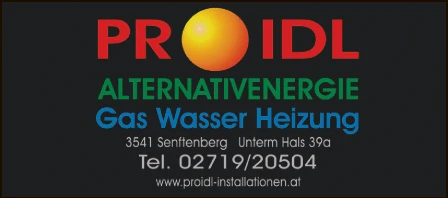 Print-Anzeige von: Proidl, Andreas, Installation