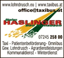 Print-Anzeige von: Haslinger, Stefan, Taxi