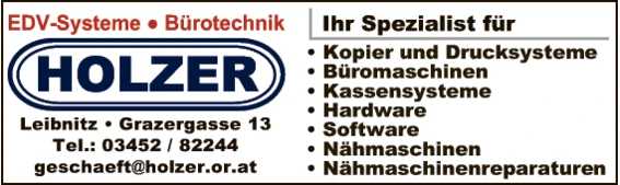 Print-Anzeige von: Holzer GsmbH und CoKG, EDV-Dienstleistungen