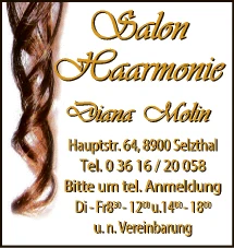 Print-Anzeige von: Molin, Diana, Friseur
