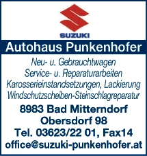 Print-Anzeige von: Punkenhofer, Martina, Autohaus