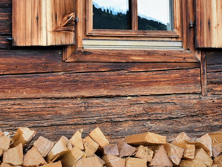 Galerie-Bild 3: Gartenservice aus Freiland von Aslan, Faruk, Gartenservice