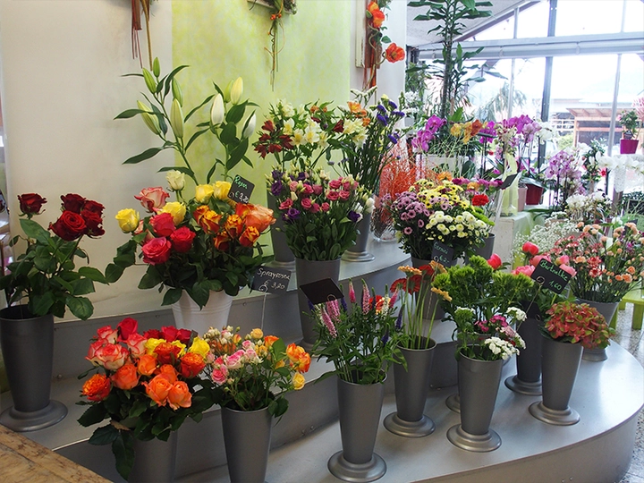 Galerie-Bild 1: Blumen Ressmann aus Oberwölz (Stadt) von Reßmann, Elke, Gärtnereien