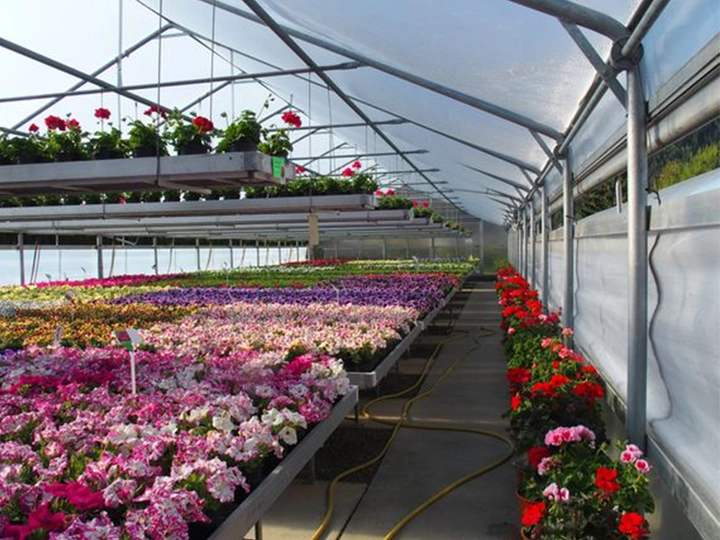 Galerie-Bild 1: Blumen Ressmann aus Oberwölz (Stadt) von Reßmann, Elke, Gärtnereien