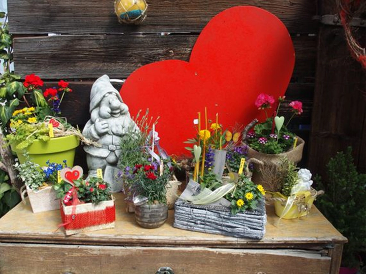 Galerie-Bild 3: Blumen Ressmann aus Oberwölz (Stadt) von Reßmann, Elke, Gärtnereien