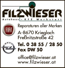 Print-Anzeige von: Filzwieser, Herbert, Autohaus