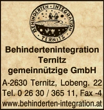 Print-Anzeige von: Behindertenintegration Ternitz gemeinnützige GmbH, Soziale Dienste