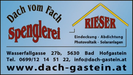 Print-Anzeige von: Rieser, Hans-Peter, Dachdeckerei