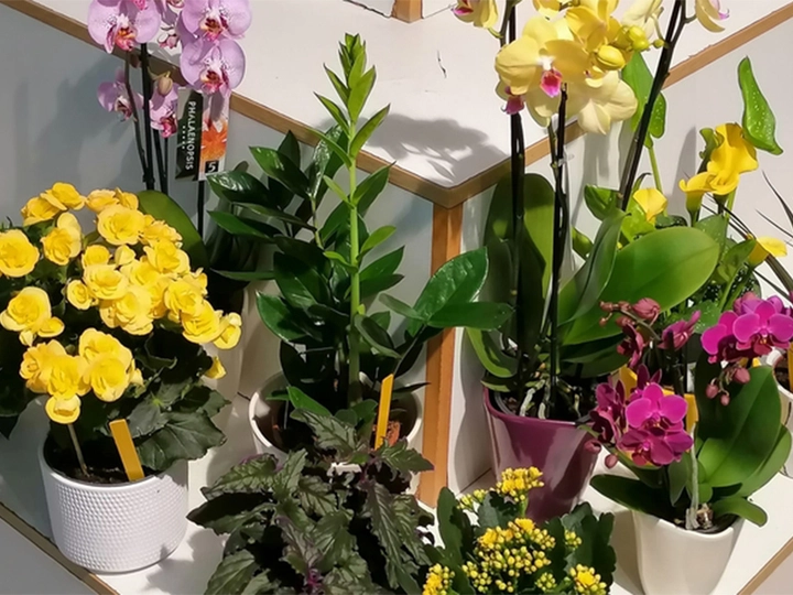 Galerie-Bild 3: Potzinger-Neubauer Gartenbau aus Halbenrain von Potzinger-Neubauer Gartenbau