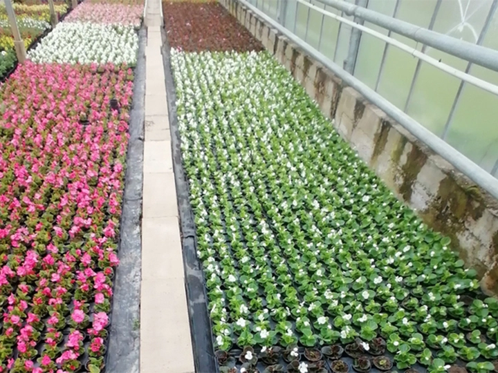 Galerie-Bild 4: Potzinger-Neubauer Gartenbau aus Halbenrain von Potzinger-Neubauer Gartenbau