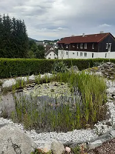 Galerie-Bild 1: Reinis Gartenservice aus Haslach an der Mühl von Reinis Gartenservice