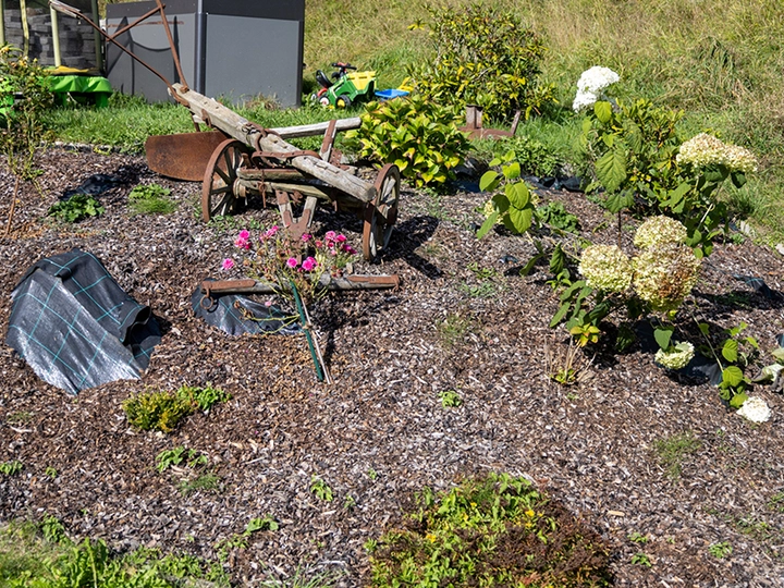 Galerie-Bild 1: Reinis Gartenservice aus Haslach an der Mühl von Reinis Gartenservice