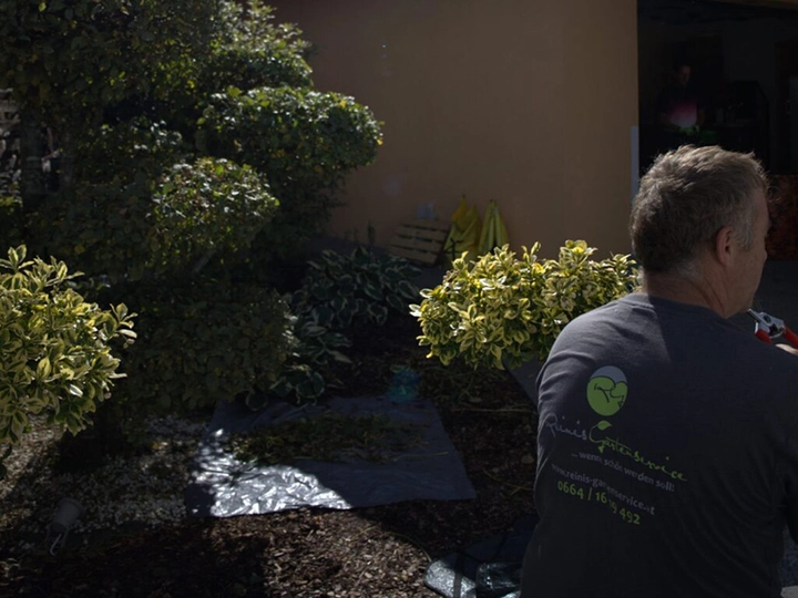 Galerie-Bild 3: Reinis Gartenservice aus Haslach an der Mühl von Reinis Gartenservice