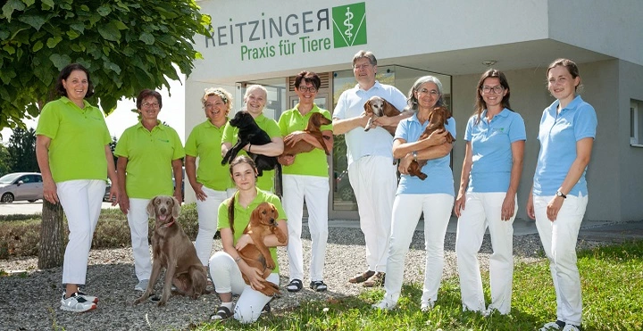 Galerie-Bild 1: Reitzinger - Praxis für Tiere aus St. Valentin von Reitzinger, Johannes, Dipl.-Tierarzt, Tierarztpraxis