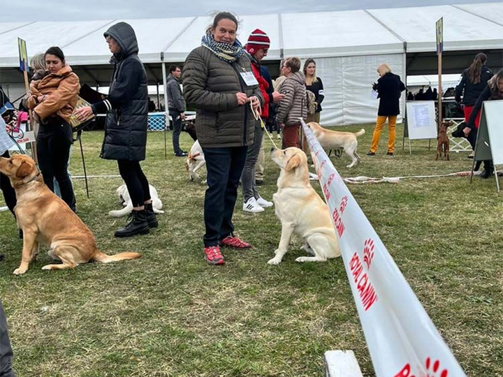 Galerie-Bild 2: Mag. Angelika Putzenbacher aus Andorf von Putzenbacher, Angelika, Mag.med.vet., Tierärzte