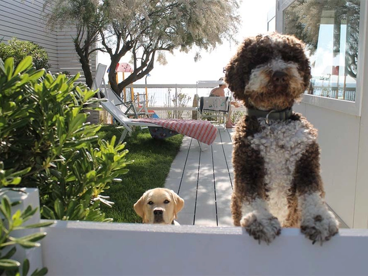 Galerie-Bild 3: Mag. Angelika Putzenbacher aus Andorf von Putzenbacher, Angelika, Mag.med.vet., Tierärzte