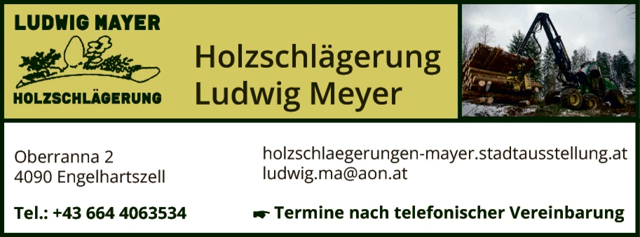 Print-Anzeige von: Mayer, Ludwig, Holzschlägerungen