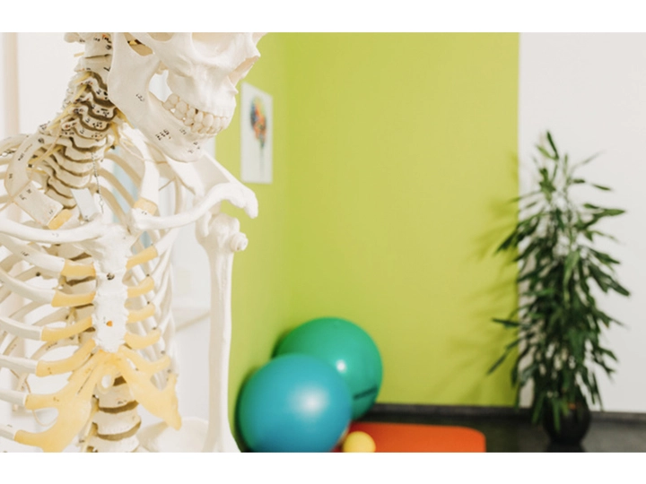 Galerie-Bild 2: team sanos, Pia Schülein aus Schärding Vorstadt von team sanos, Pia Schülein (Inhaberin), Osteopathie/Physiotherapie