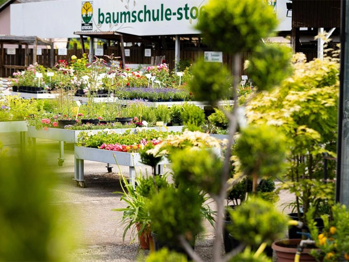 Galerie-Bild 1: Baumschulen Alois Stöckl GmbH aus Zell an der Pram von STÖCKL ALOIS GmbH Baumschulen